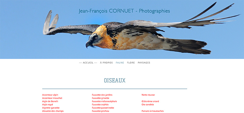 Mon site 1