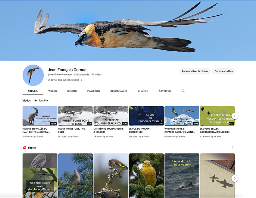 youtube